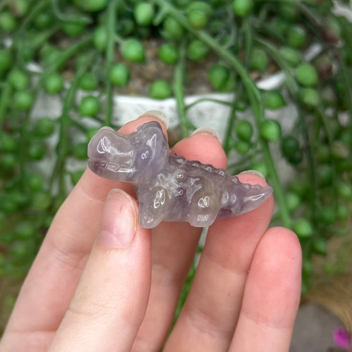Dream Amethyst Mini Crocodile