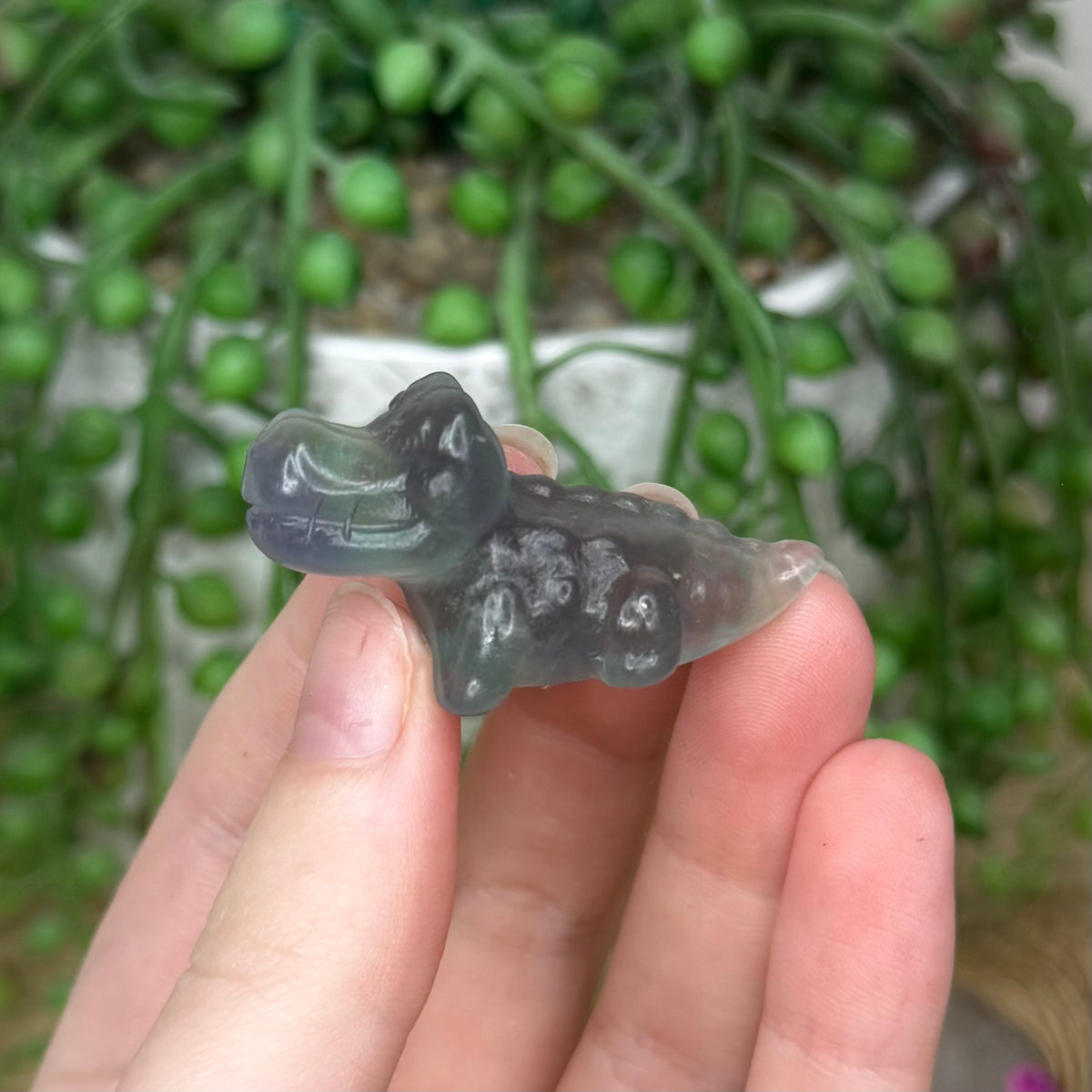 Fluorite Mini Crocodile