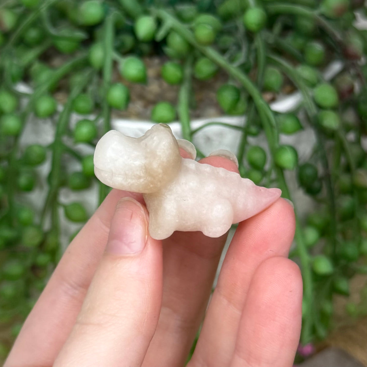 Pink Opal Mini Crocodile 2