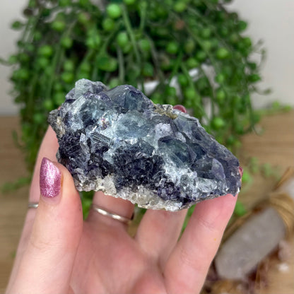 Cubic Fluorite Cluster (W992)