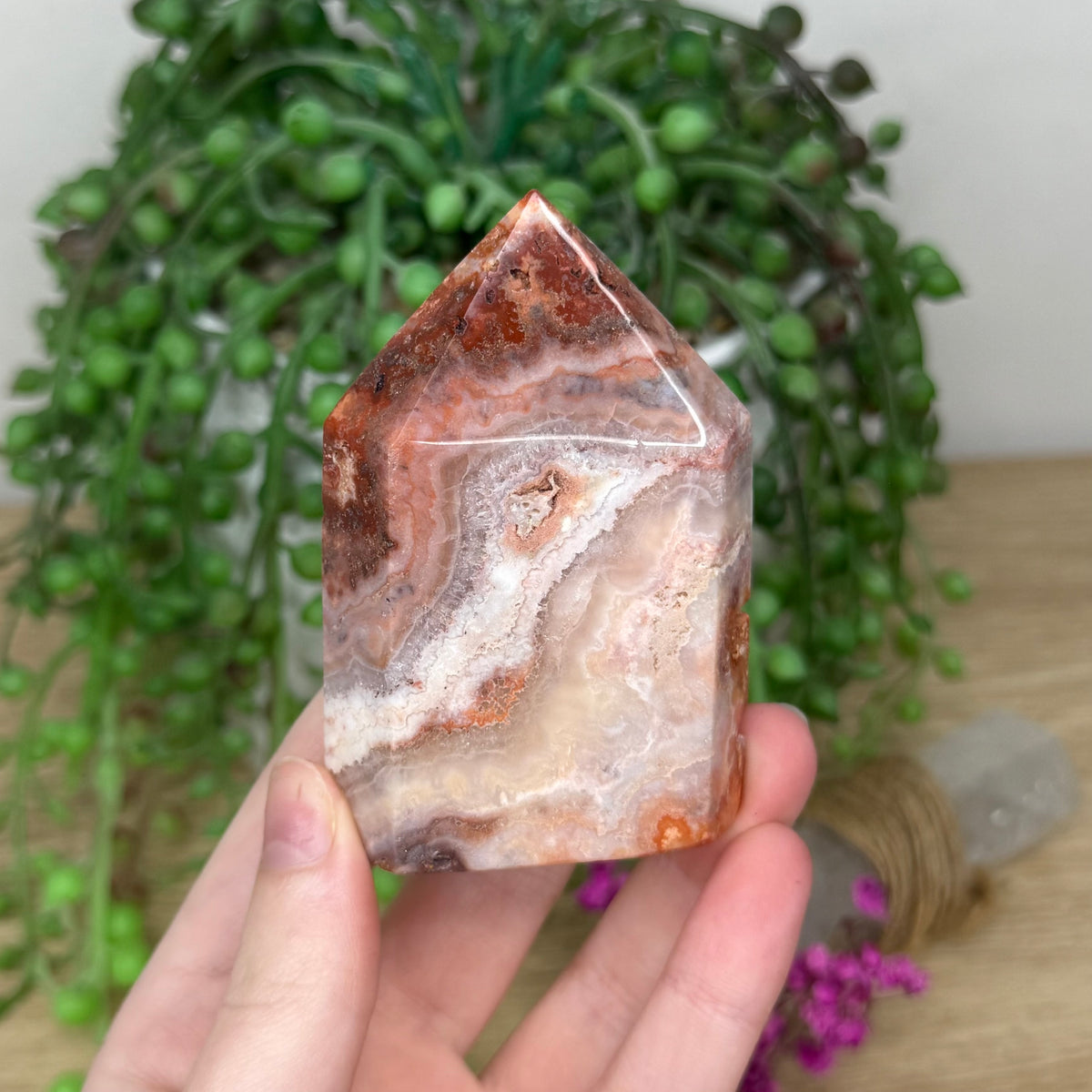 Pink Crazy Lace Agate Domino Point (825A)