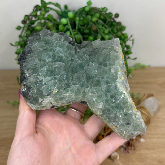 Cubic Green Fluorite Cluster (W990)