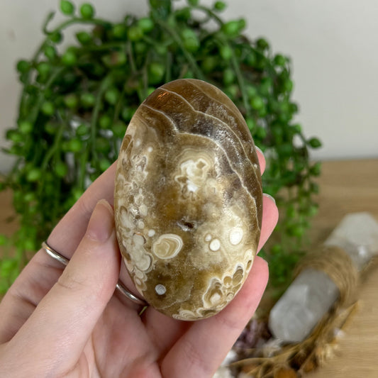 Chocolate Calcite Palm Stone (Q774)