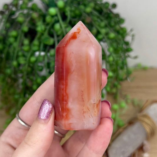 Carnelian Point (W577)