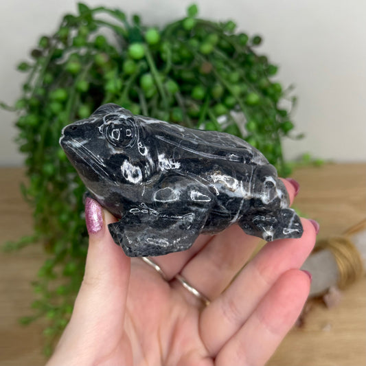 Shell Jasper Frog (W596)