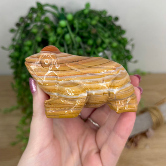 Banded Calcite Frog (W594)