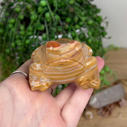 Banded Calcite Frog (W594)