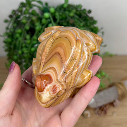 Banded Calcite Frog (W594)