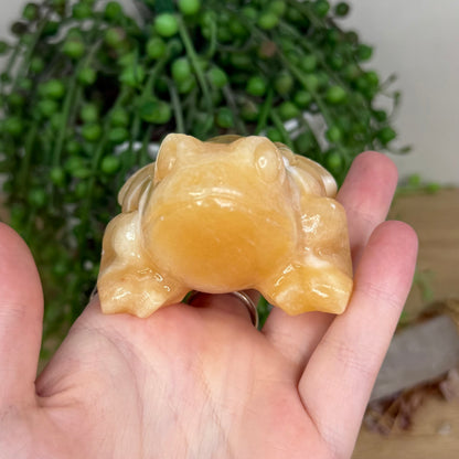 Yellow Calcite Frog (W595)