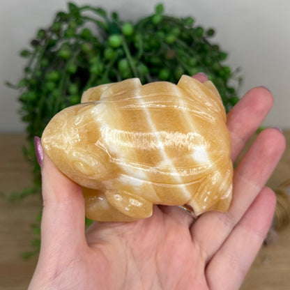Yellow Calcite Frog (W595)