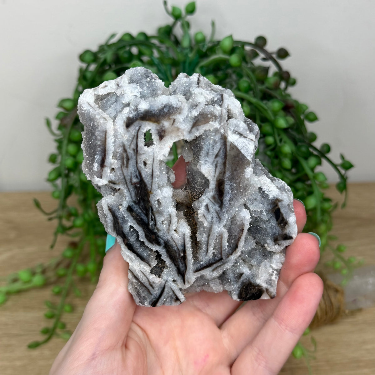Sphalerite Slab (258B)
