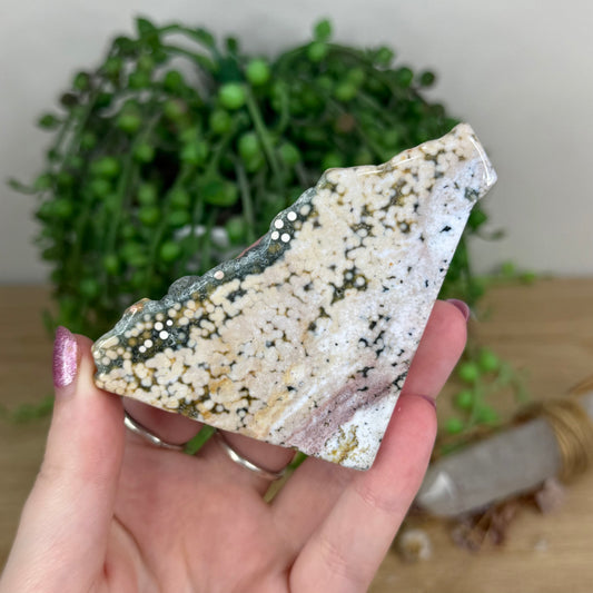 Eighth Vein Ocean Jasper Free Form (W156)