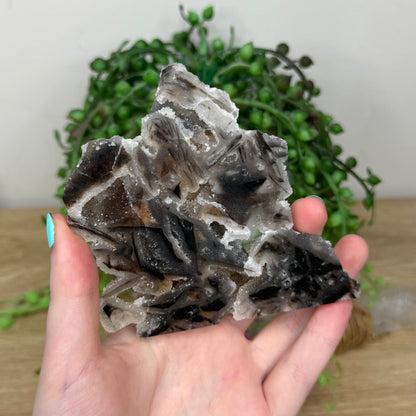 Sphalerite Slab (255B)