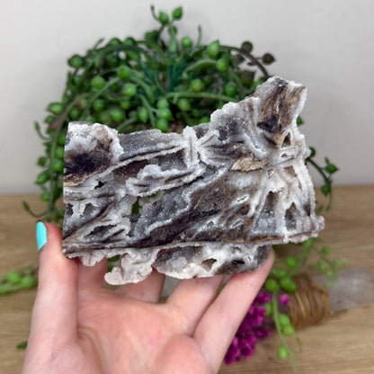 Sphalerite Slab (257B)