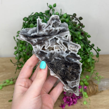 Sphalerite Slab (262B)