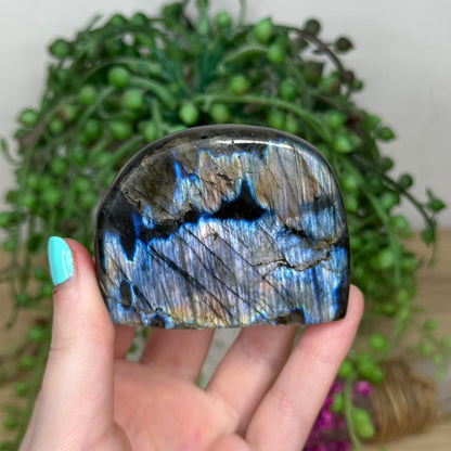 Labradorite Free Form (913A)