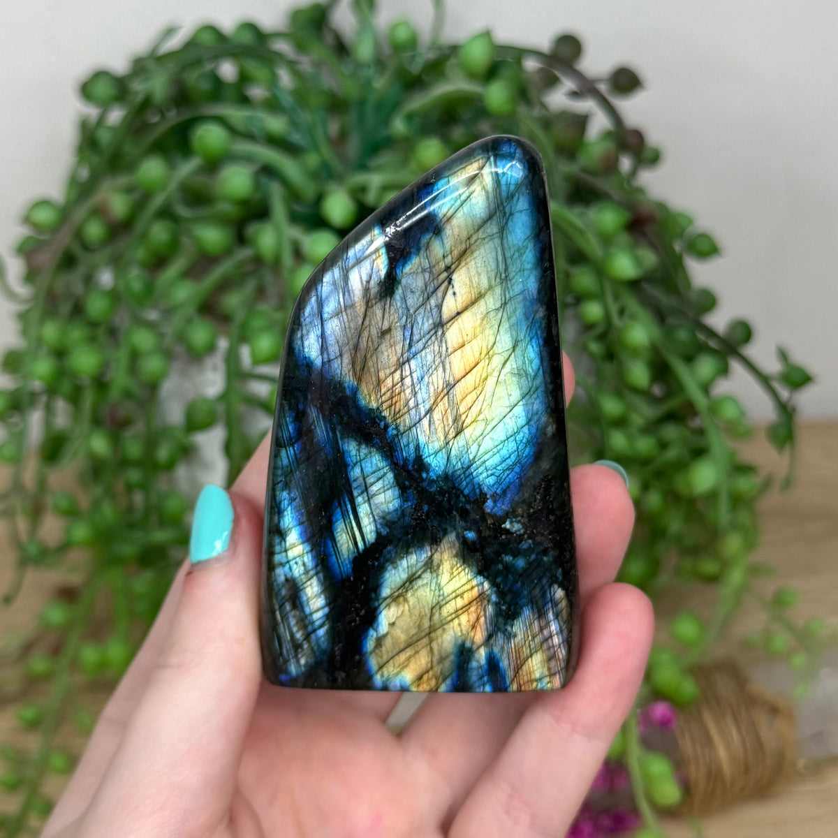 Labradorite Free Form (914A)