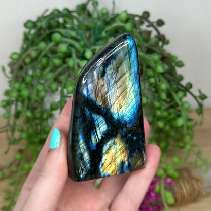 Labradorite Free Form (914A)