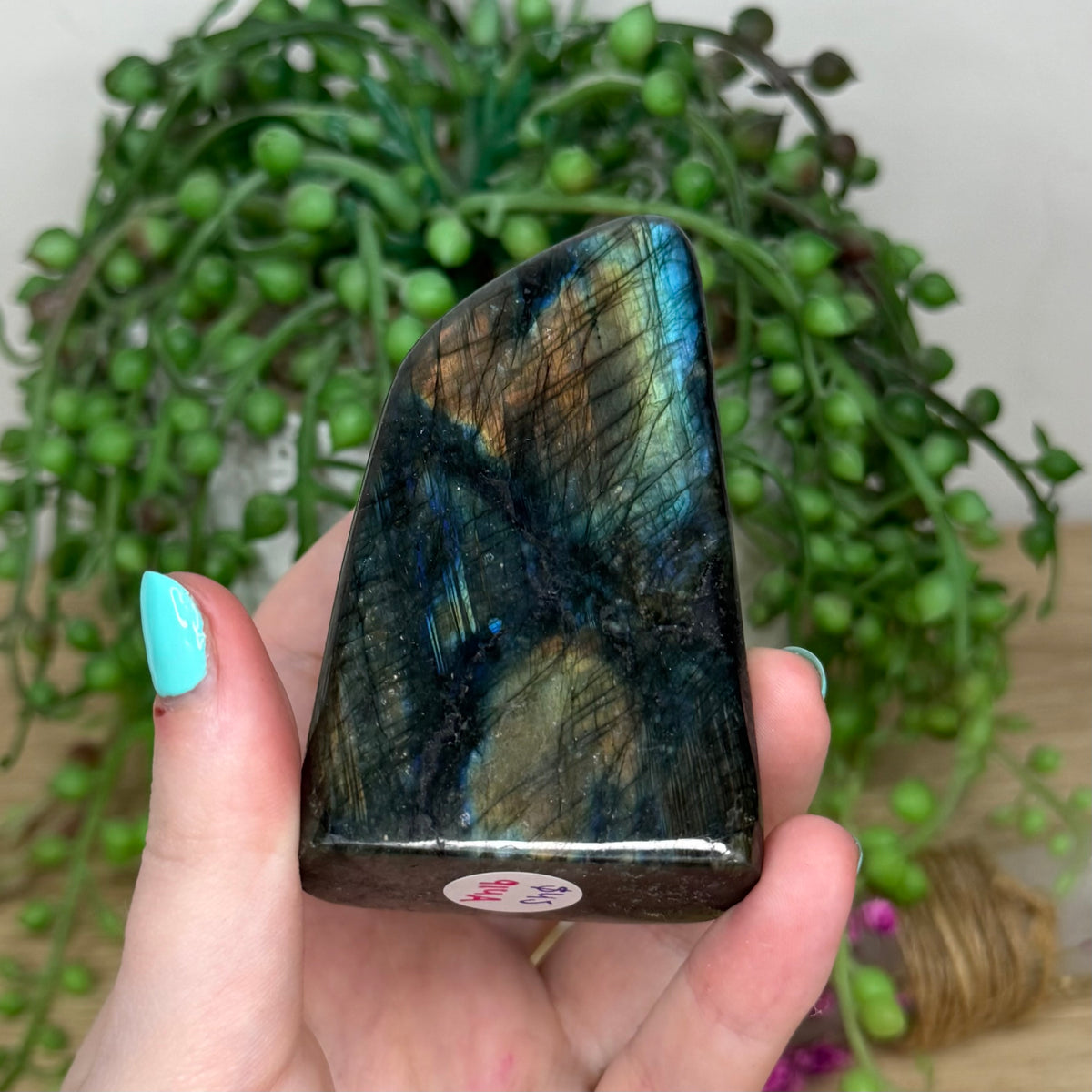 Labradorite Free Form (914A)