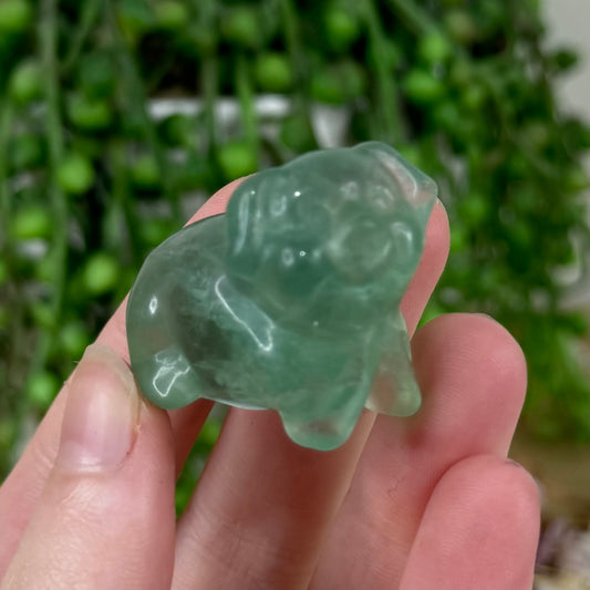 Green Fluorite Pig (M571)