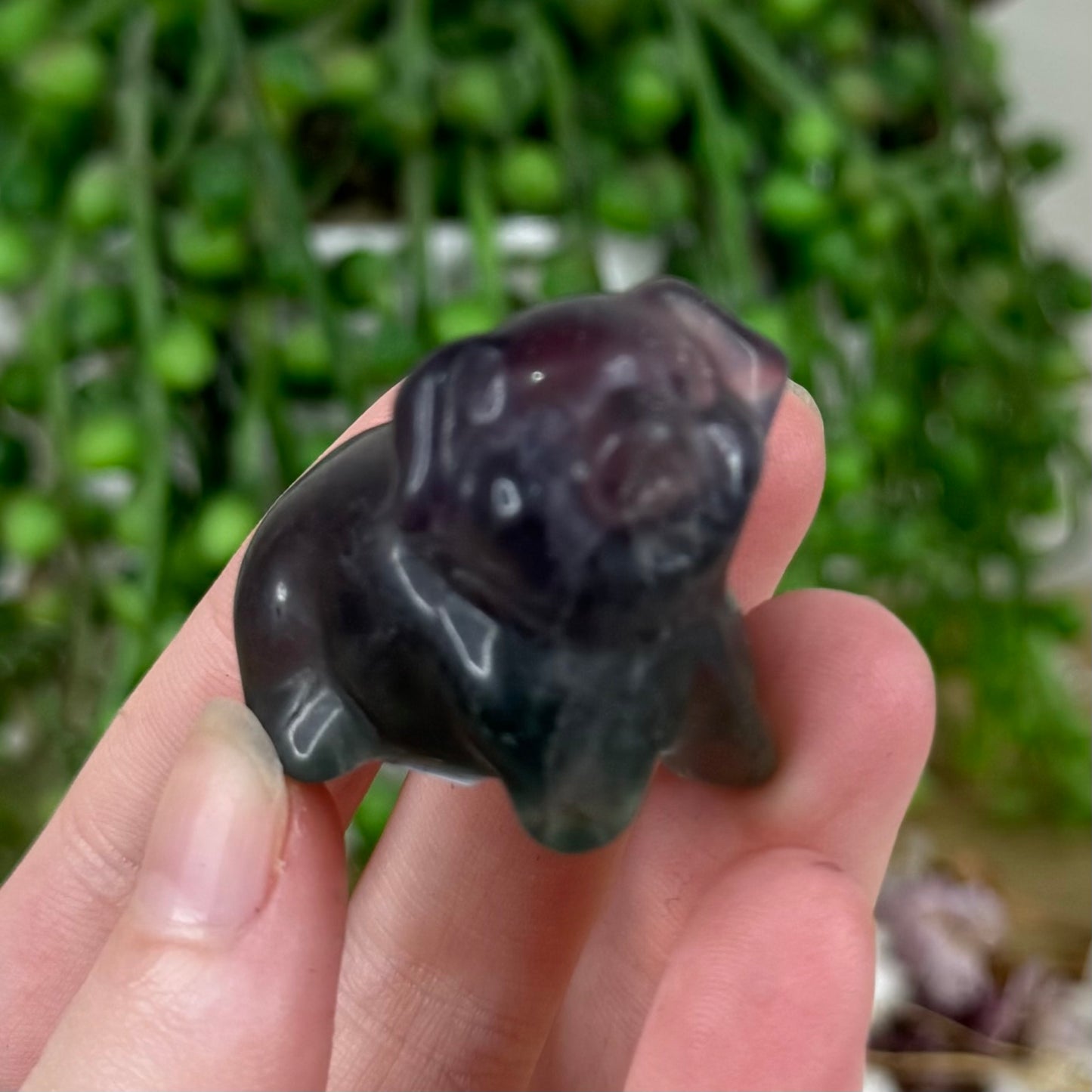 Rainbow Fluorite Pig (M569)