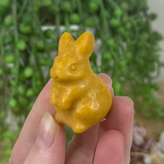 Yellow Stone Bunny (M581)