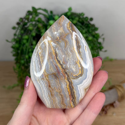 Crazy Lace Agate Arch Free Form (U940)