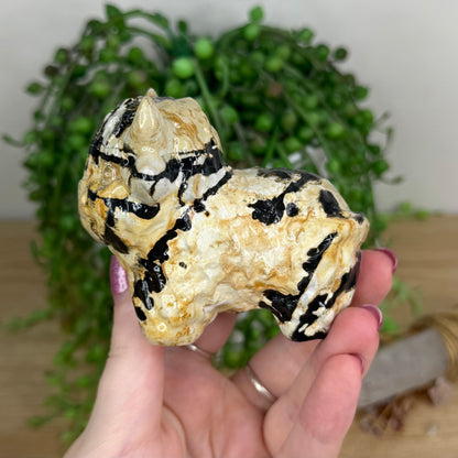 Picture Stone Jasper Highland Cow (U949)