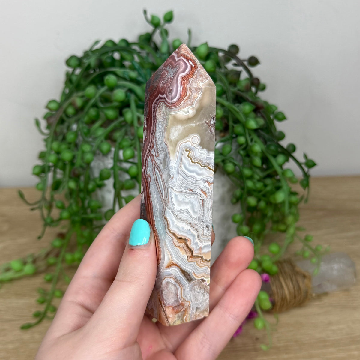 Mexican Crazy Lace Agate Point (305B)