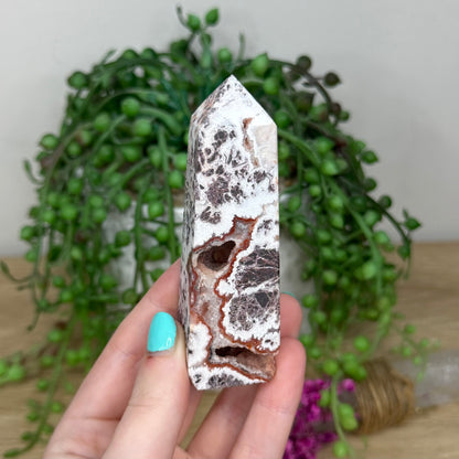 Mexican Crazy Lace Agate Point (303B)