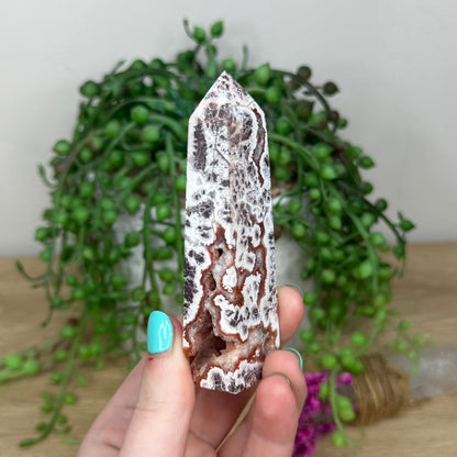 Mexican Crazy Lace Agate Point (303B)