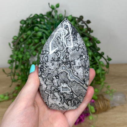Black Forest Jasper Arch Free Form (277B)