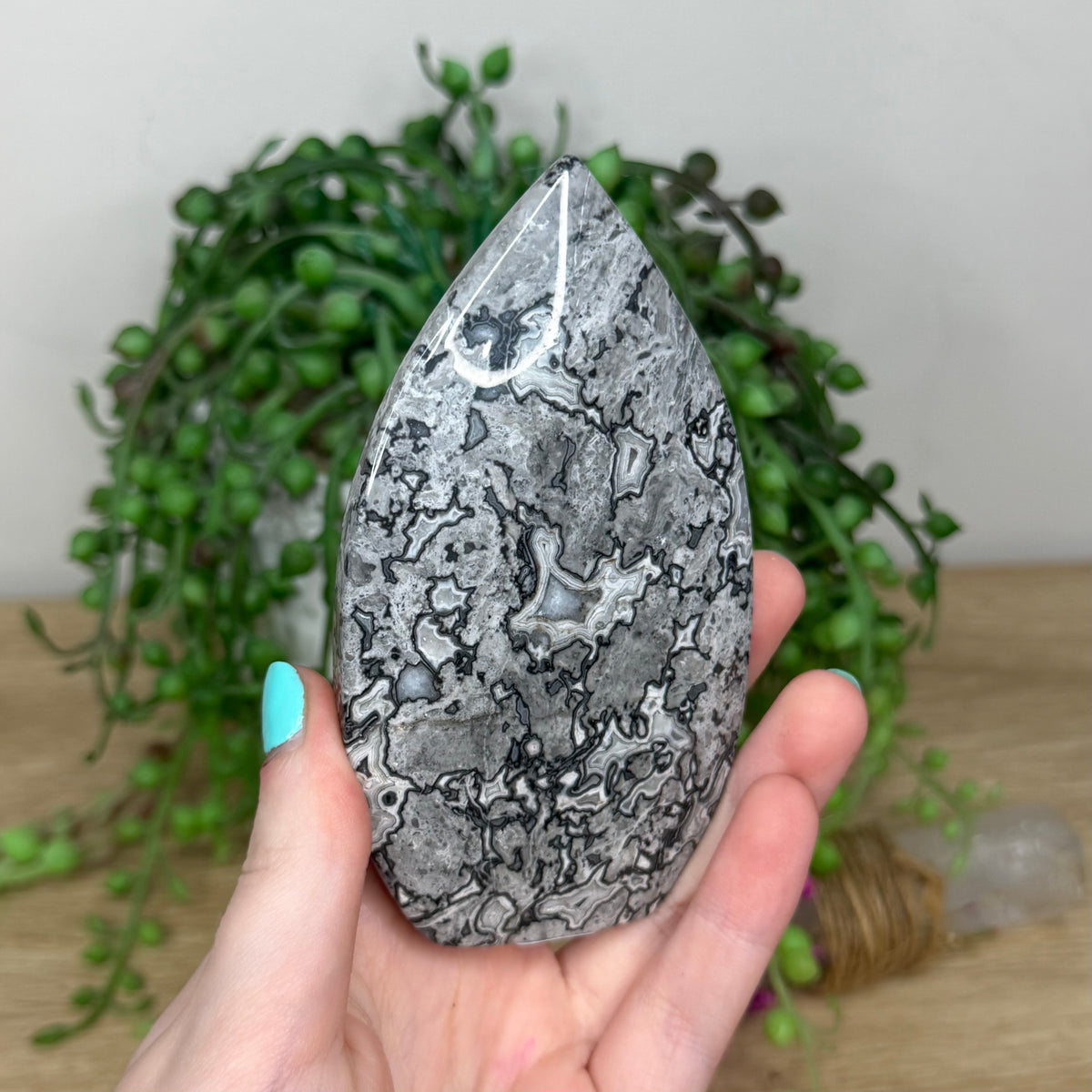 Black Forest Jasper Arch Free Form (277B)