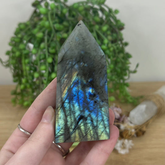 Labradorite Point (M491)
