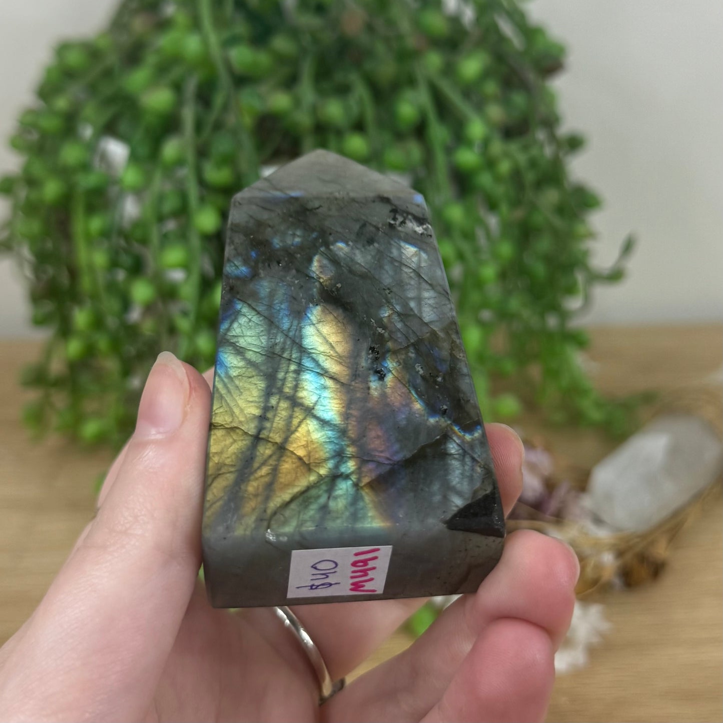Labradorite Point (M491)