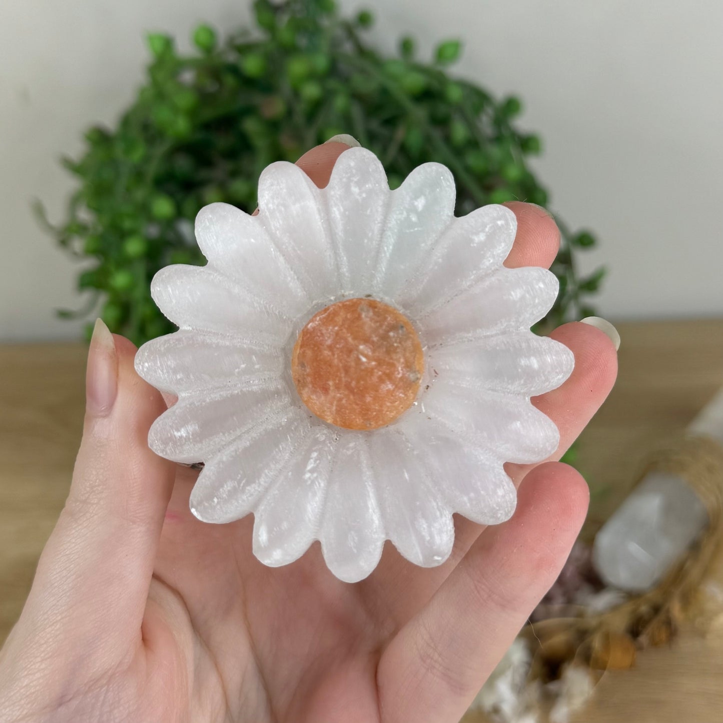 Selenite Daisy (Q838)