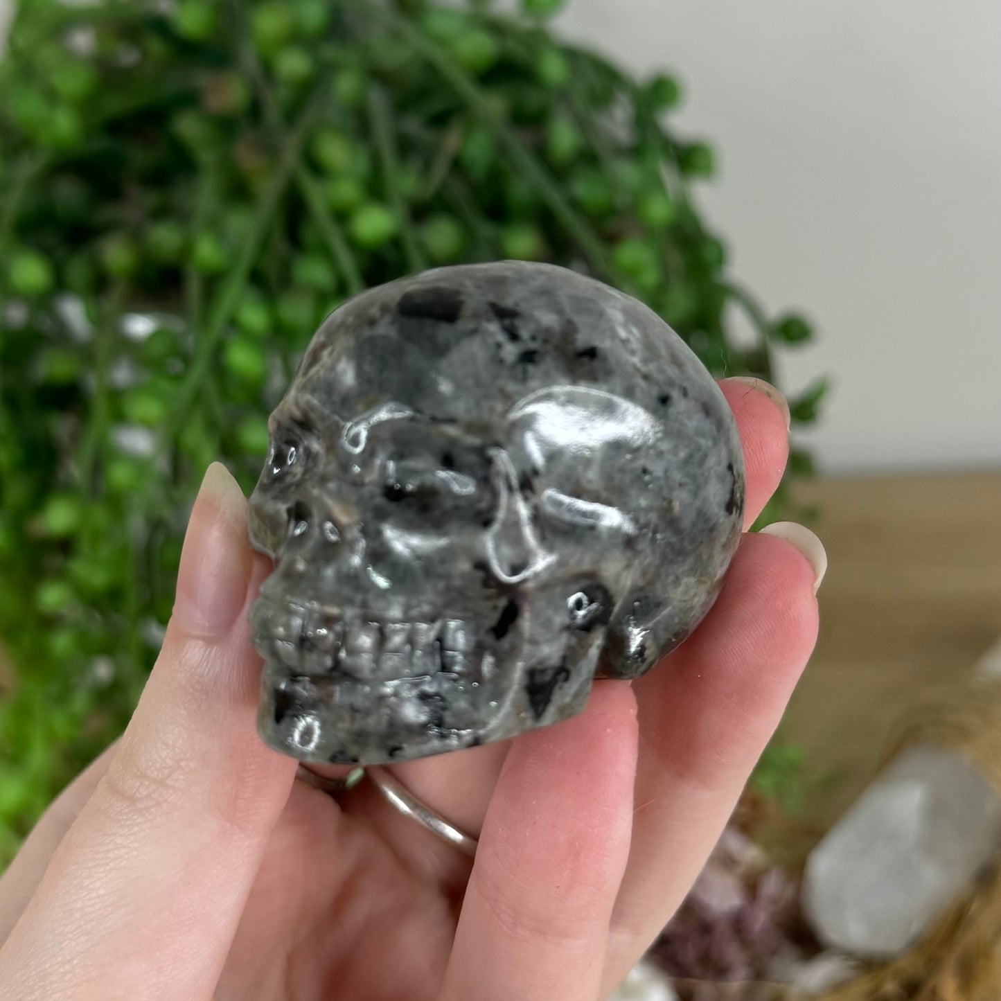 Yooperlite Skull (E387)