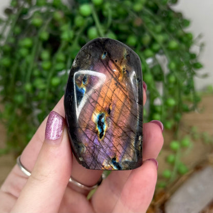 Labradorite Free Form (W42)