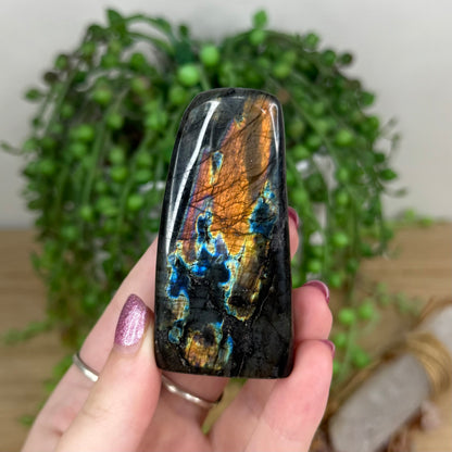 Labradorite Free Form (W40)