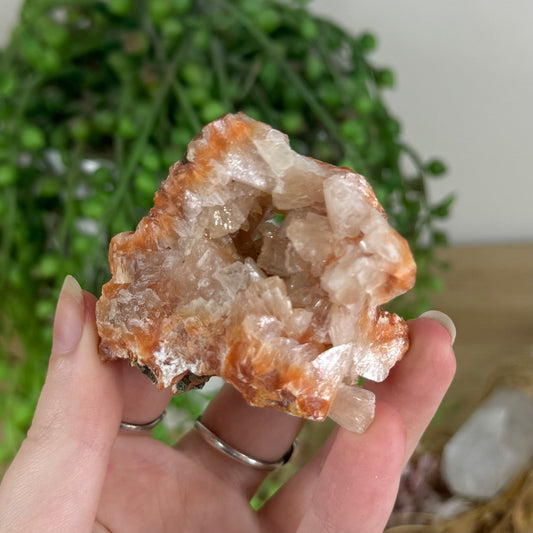 Peach Apophyllite Cluster (Q835)