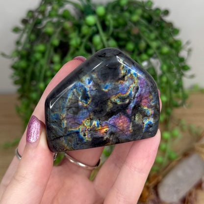 Labradorite Free Form (W37)