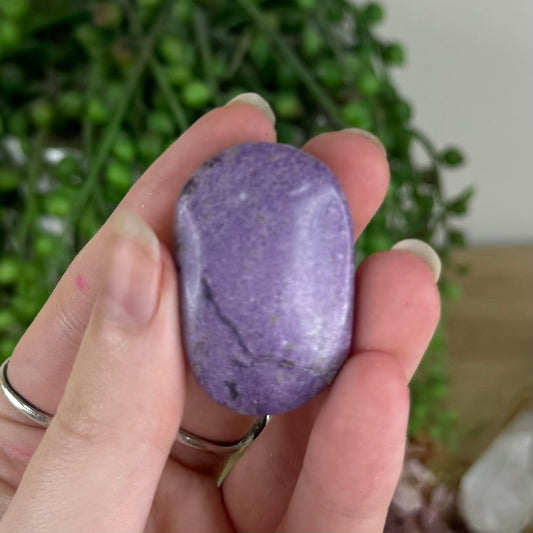 Atlantisite Palm Stone (Q785)