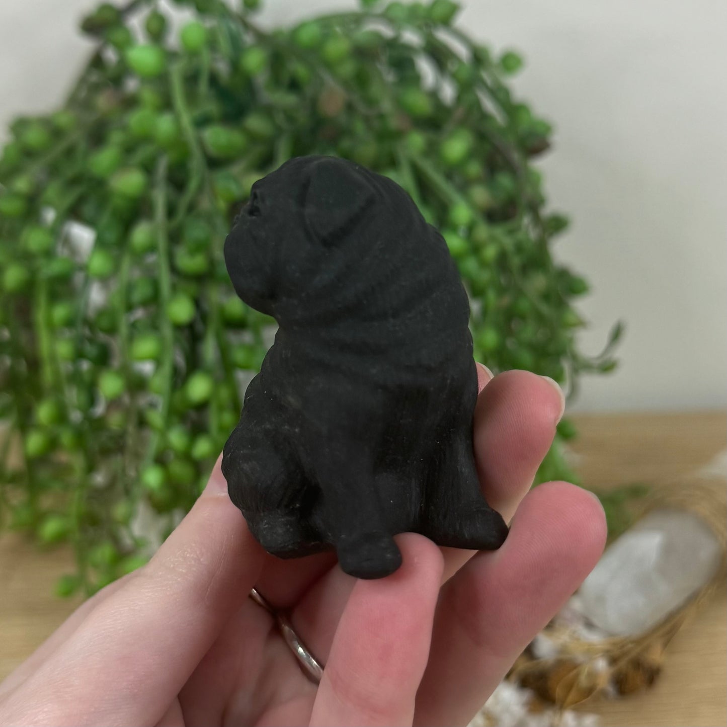 Black Obsidian Dog (M598)