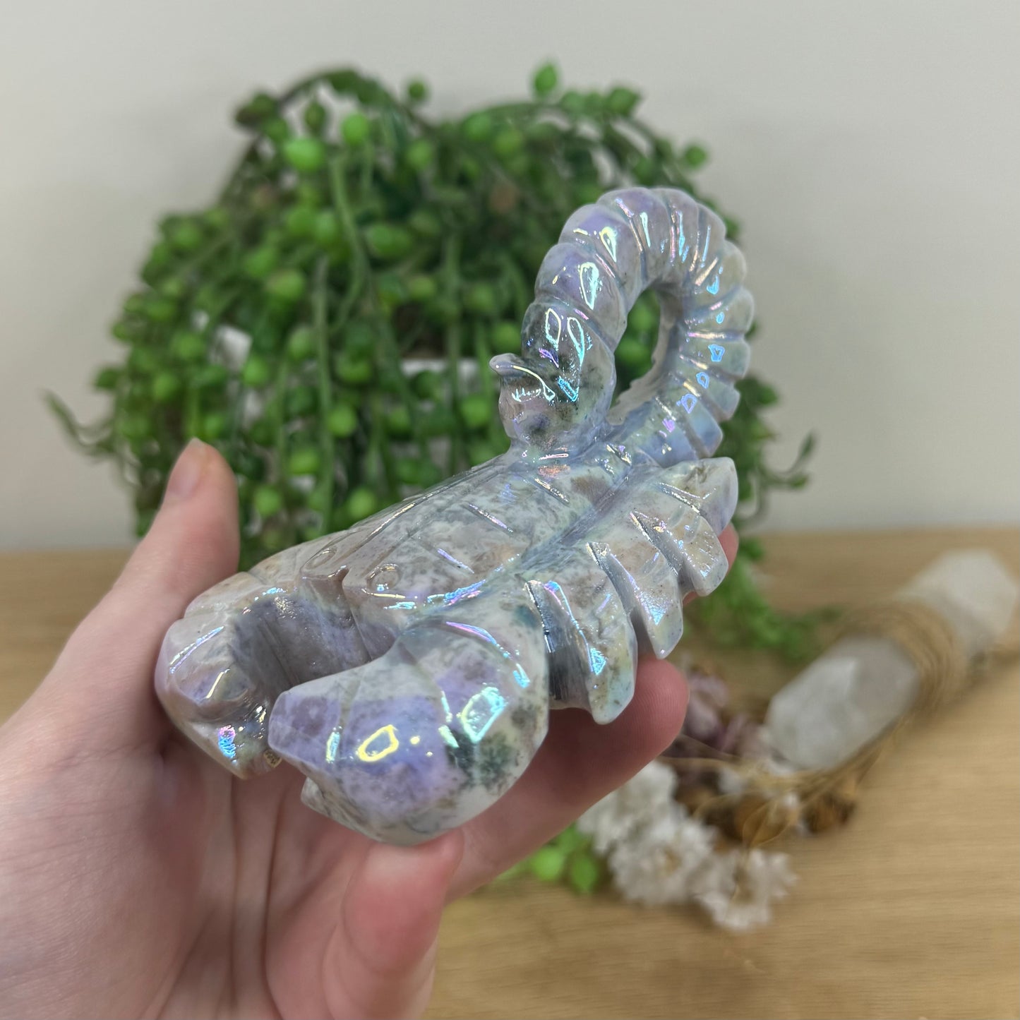 Aura Ocean Jasper Scorpion (M623)