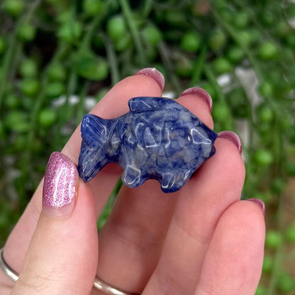 Sodalite Small Fish
