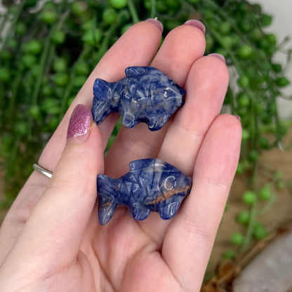 Sodalite Small Fish