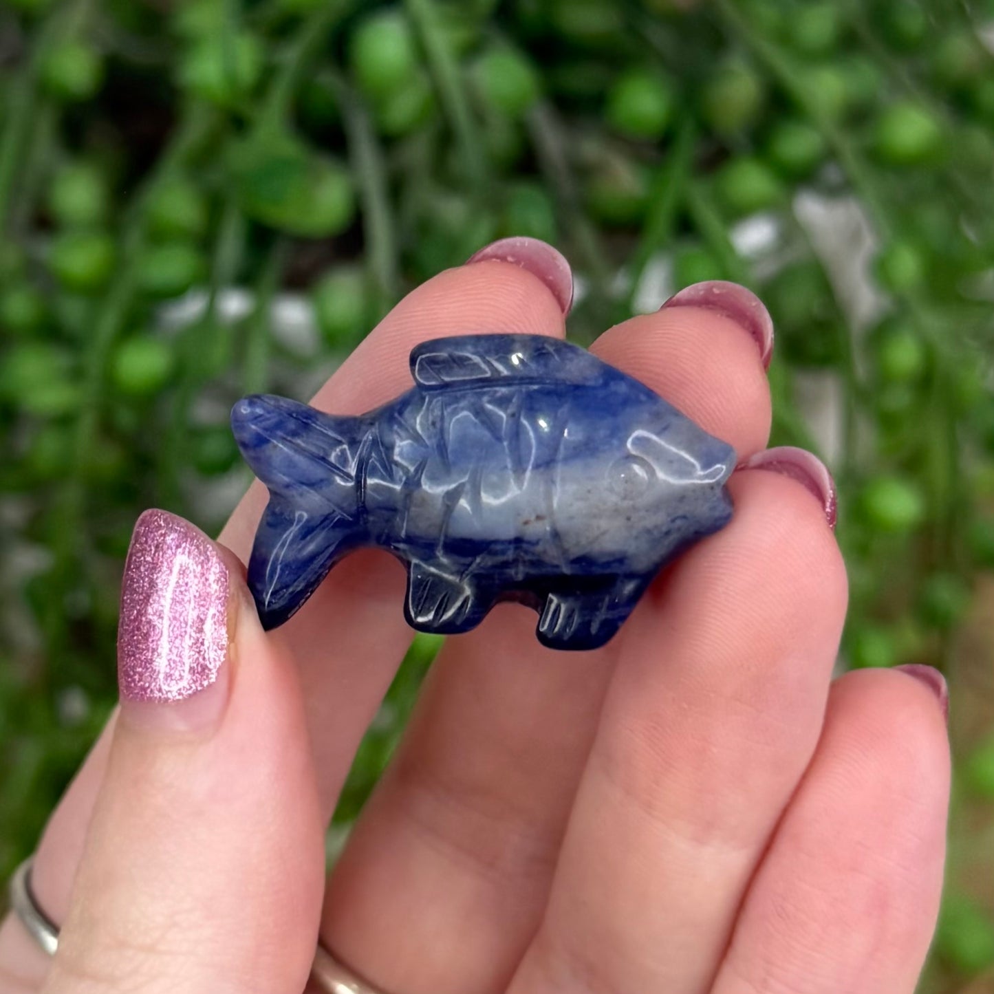 Sodalite Small Fish 1