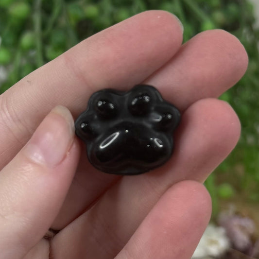 Black Obsidian Small Paws