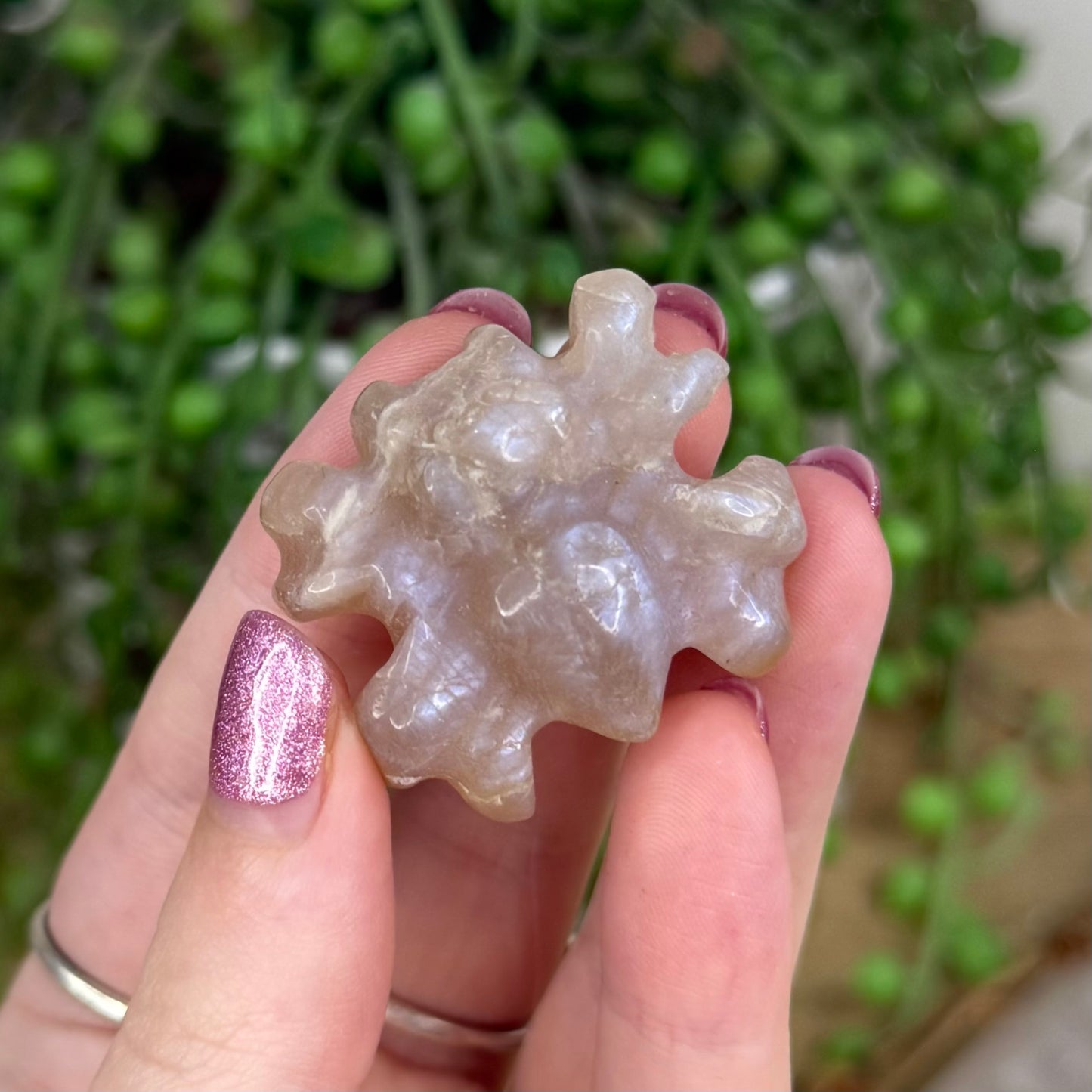Moonstone Spider (U961)