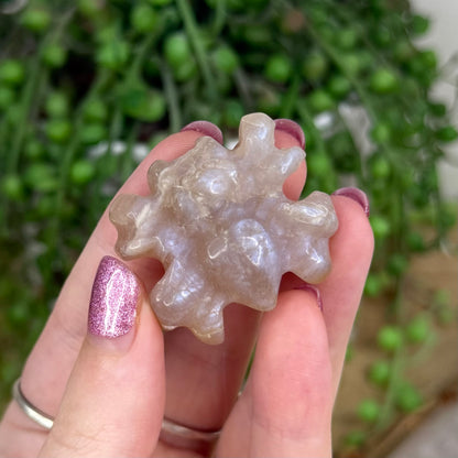 Moonstone Spider (U961)